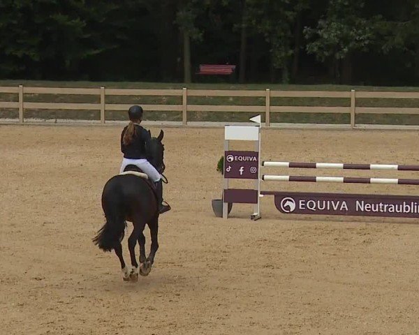 Reitturnier Tiefenhof/Opf. 2024