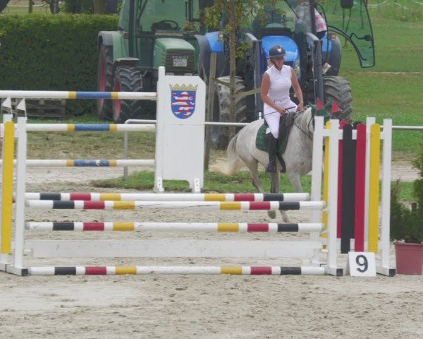 Reitturnier Groß-Zimmern 2024