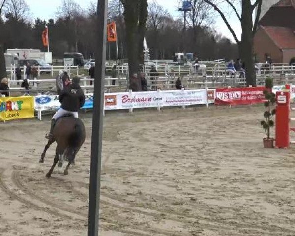 Lenklarer Reitertage auf der Reitsportanlage Gripshöver 2013