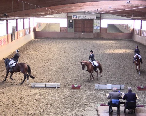 Reitturnier Herzebrock-Rheda 2021