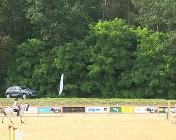 Reitturnier Tiefenhof/Opf. 2024