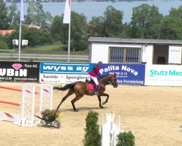 Reitturnier Wädenswil 2024