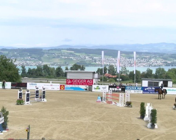 Reitturnier Wädenswil 2024