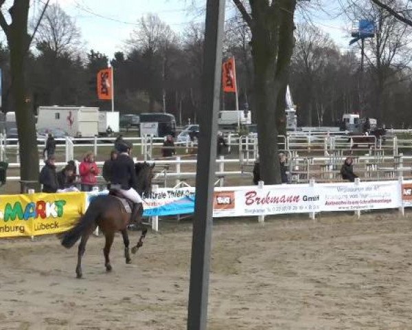 Lenklarer Reitertage auf der Reitsportanlage Gripshöver 2013