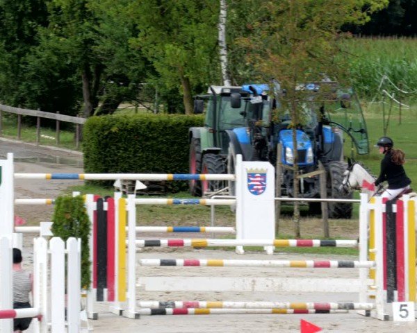 Reitturnier Groß-Zimmern 2024