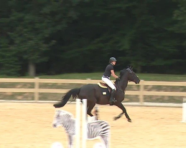 Reitturnier Tiefenhof/Opf. 2024