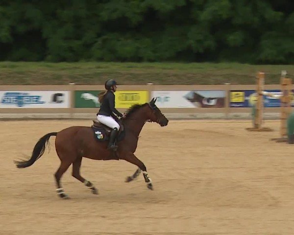 Reitturnier Tiefenhof/Opf. 2024