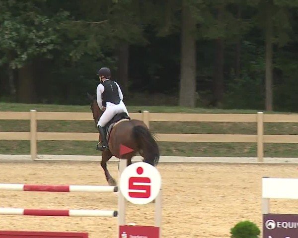 Reitturnier Tiefenhof/Opf. 2024