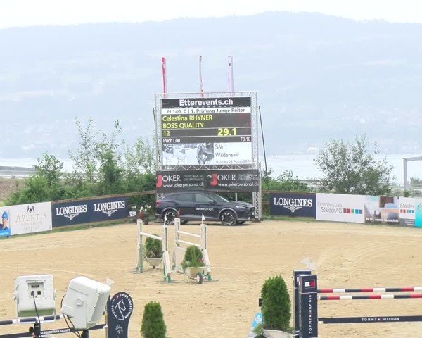 Reitturnier Wädenswil 2024