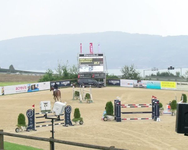 Reitturnier Wädenswil 2024