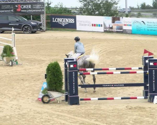 Reitturnier Wädenswil 2024