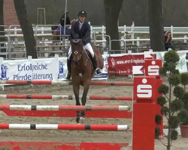Lenklarer Reitertage auf der Reitsportanlage Gripshöver 2013