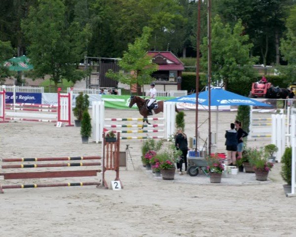 Reitturnier Groß-Zimmern 2024