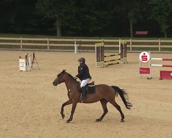 Reitturnier Tiefenhof/Opf. 2024