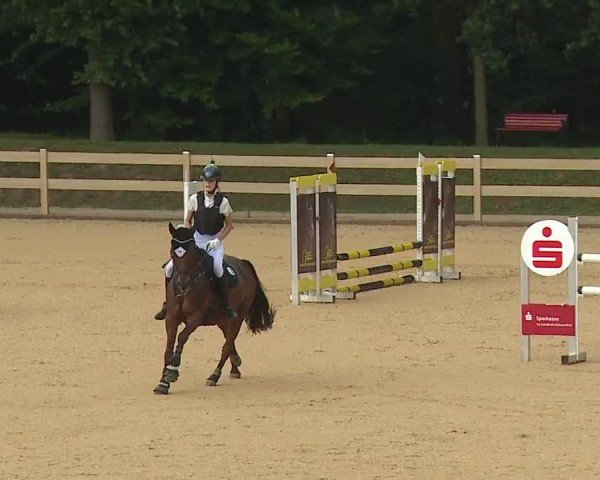 Reitturnier Tiefenhof/Opf. 2024
