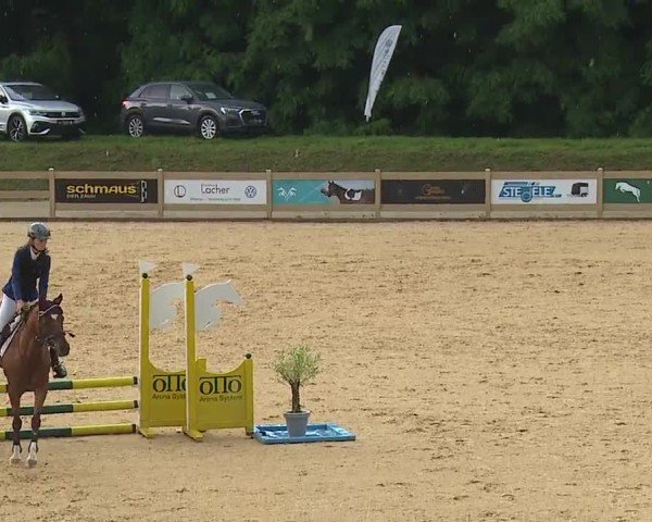 Reitturnier Tiefenhof/Opf. 2024