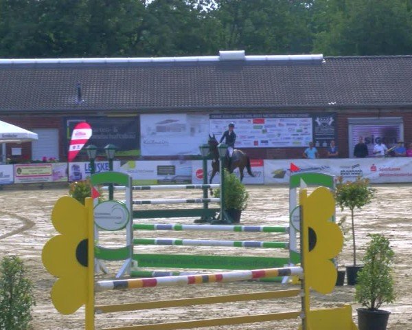 Reitturnier Stadtlohn 2024