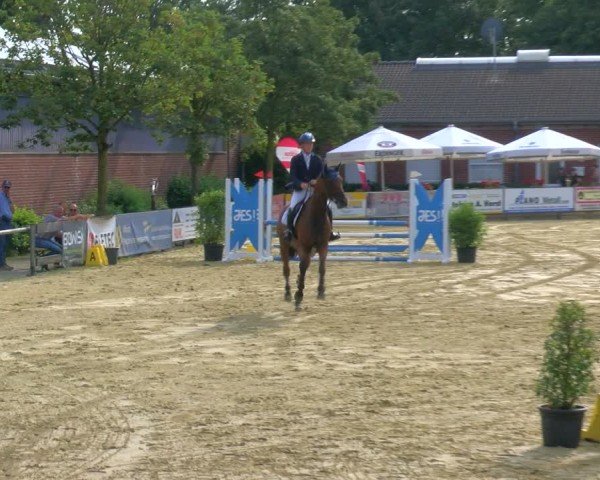 Reitturnier Stadtlohn 2024