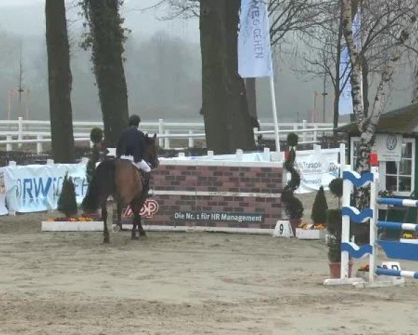 Lenklarer Reitertage auf der Reitsportanlage Gripshöver 2013