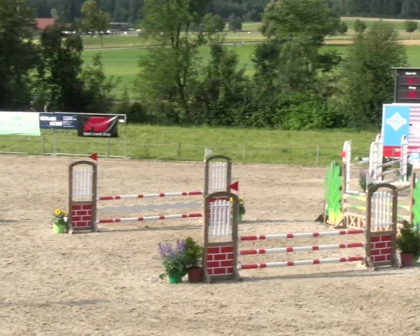 Reitturnier Gossau 2024