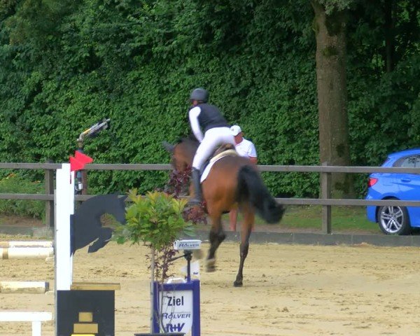 Reitturnier Stadtlohn 2024