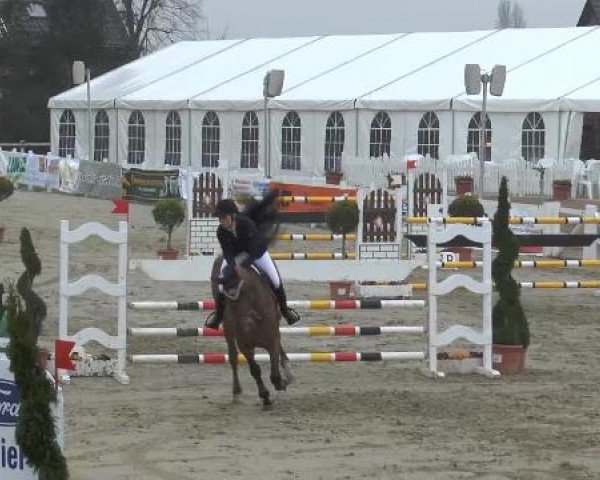 Reitturnier Werne-Lenklar 2013