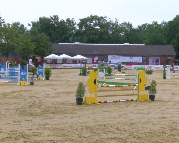 Reitturnier Stadtlohn 2024