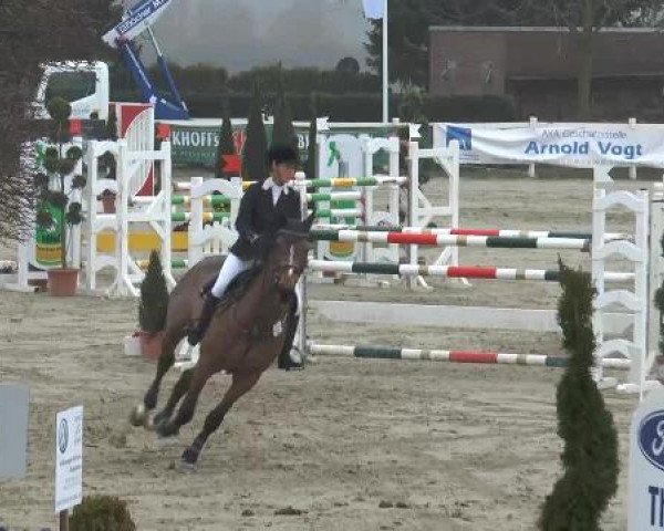 Lenklarer Reitertage auf der Reitsportanlage Gripshöver 2013