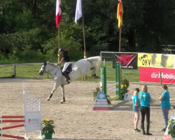 Reitturnier Gossau 2024
