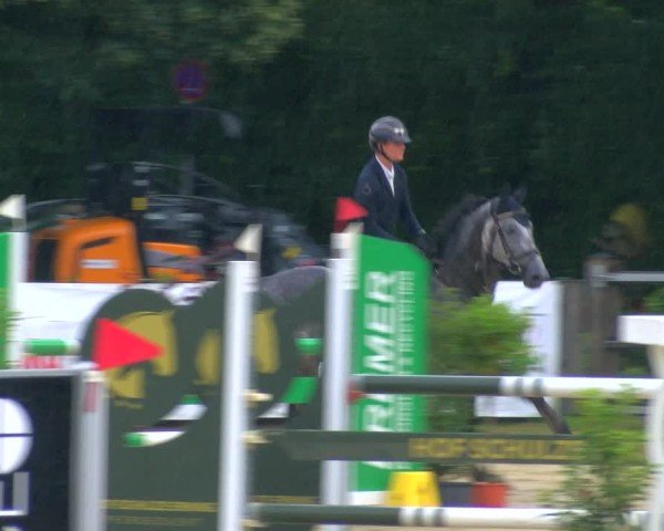 Reitturnier Stadtlohn 2024