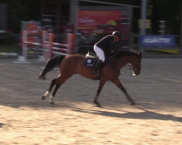 Reitturnier Klein Roscharden 2024