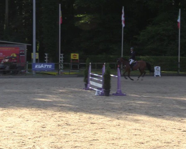 Reitturnier Klein Roscharden 2024