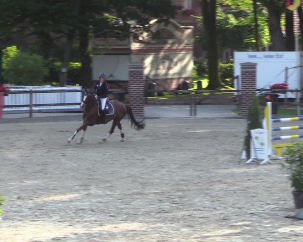 Reitturnier Klein Roscharden 2024