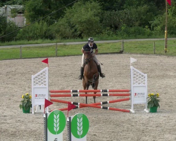 Reitturnier Gossau 2024