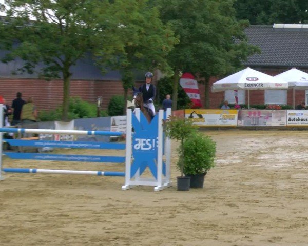 Reitturnier Stadtlohn 2024
