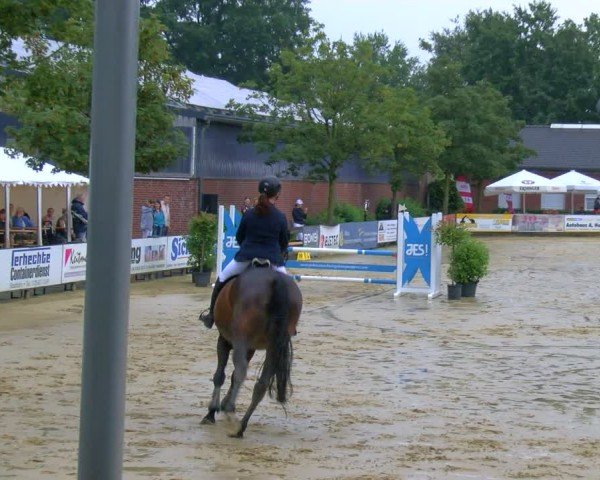 Reitturnier Stadtlohn 2024