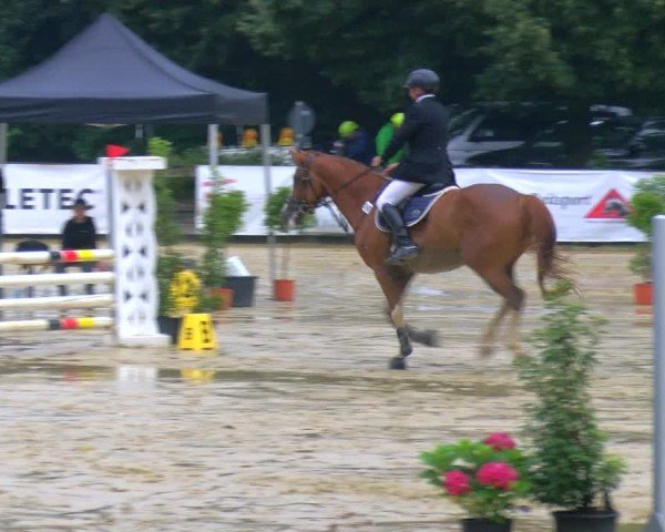 Reitturnier Stadtlohn 2024