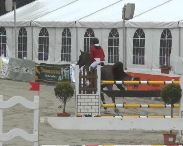Lenklarer Reitertage auf der Reitsportanlage Gripshöver 2013
