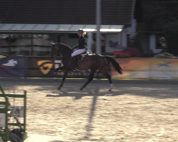 Reitturnier Klein Roscharden 2024