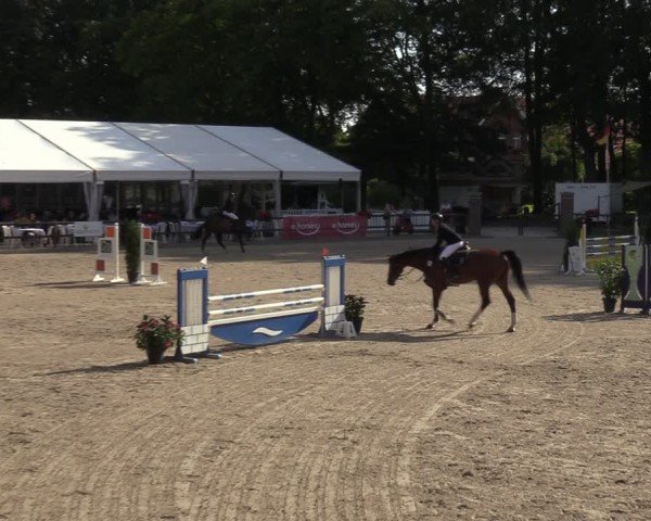 Reitturnier Klein Roscharden 2024