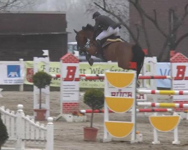 Lenklarer Reitertage auf der Reitsportanlage Gripshöver 2013