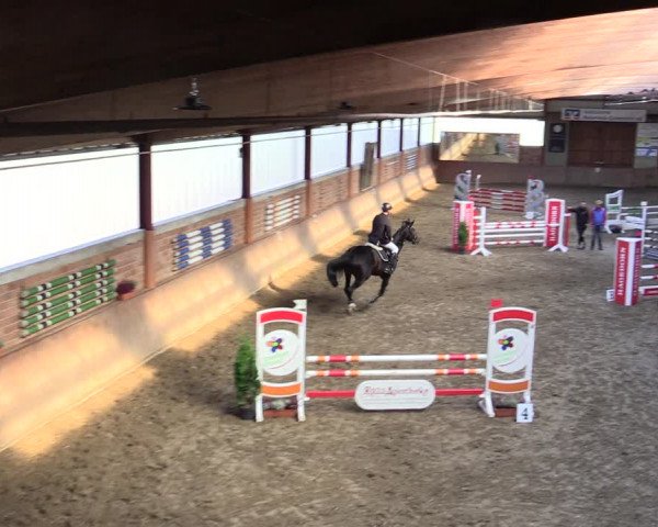Reitturnier Herzebrock-Rheda 2021