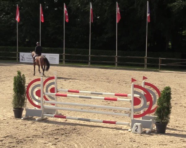 Reitturnier Klein Roscharden 2024