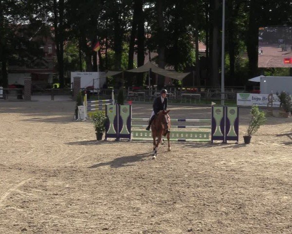 Reitturnier Klein Roscharden 2024