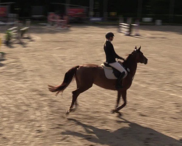 Reitturnier Klein Roscharden 2024