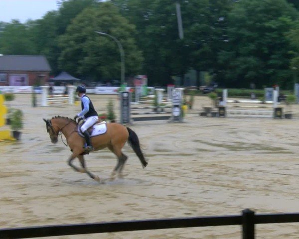 Reitturnier Stadtlohn 2024