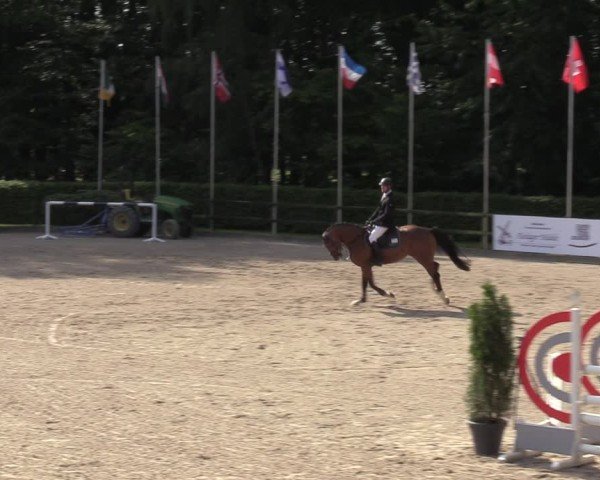 Reitturnier Klein Roscharden 2024