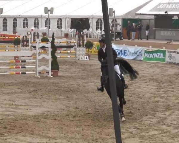 Lenklarer Reitertage auf der Reitsportanlage Gripshöver 2013