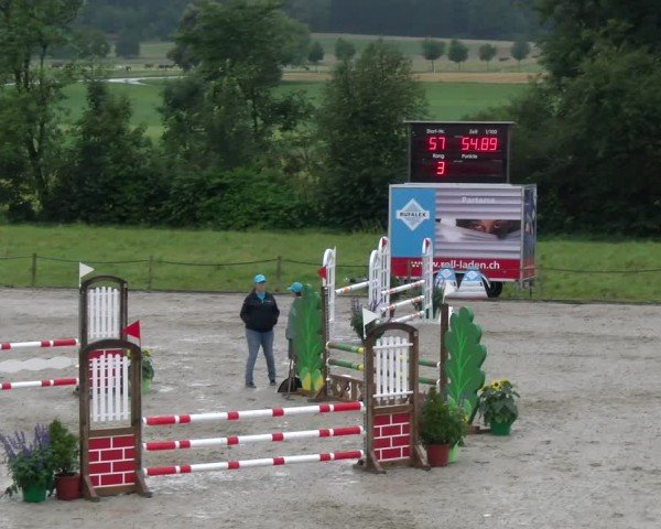 Reitturnier Gossau 2024