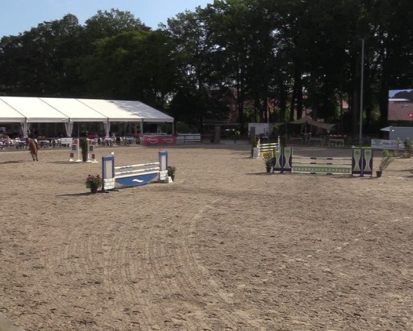 Reitturnier Klein Roscharden 2024
